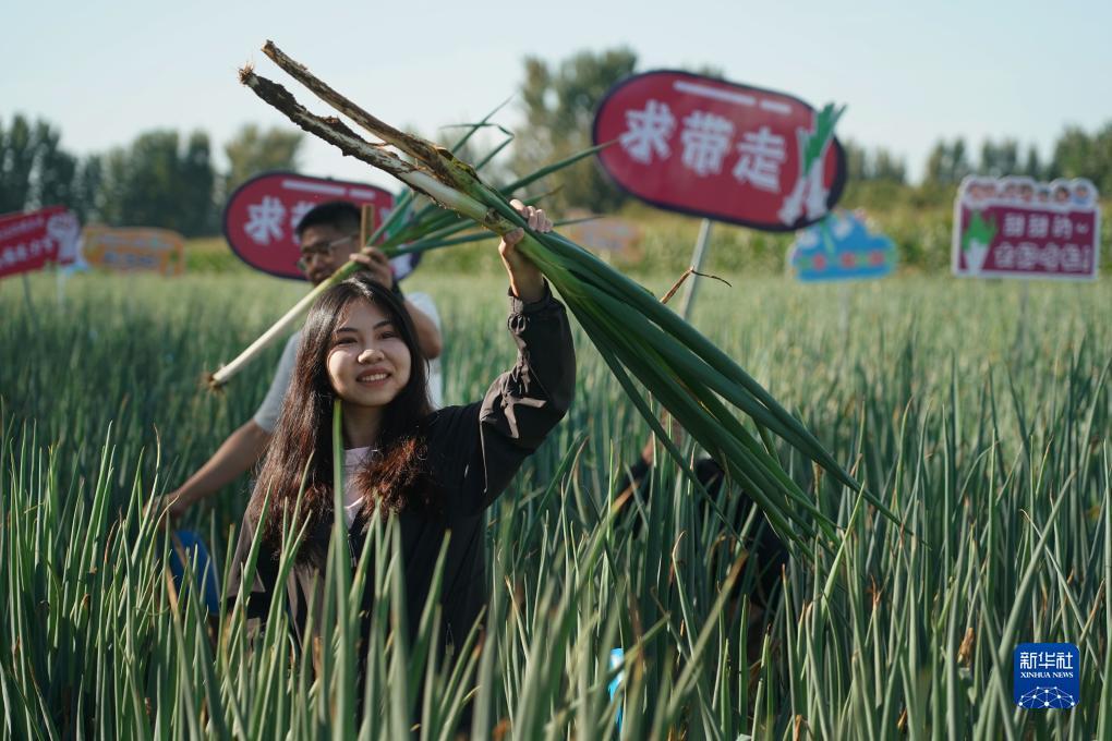 漫盈娱乐